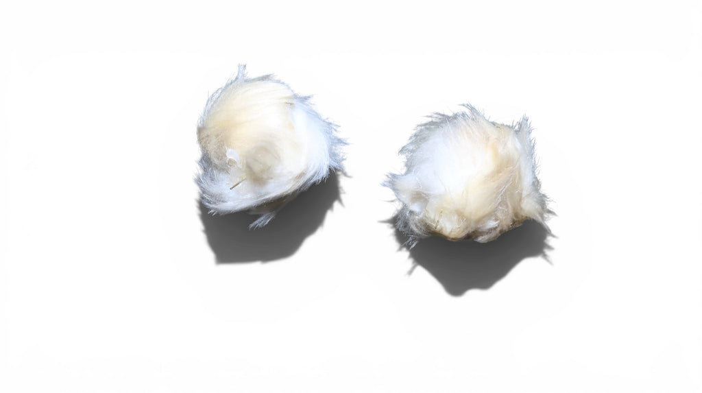 Cotton