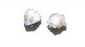 Cotton